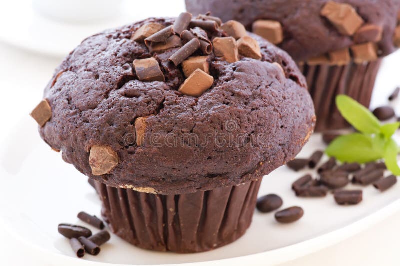 Chocolate Muffin stock image. Image of gourmet, fancy 16908605