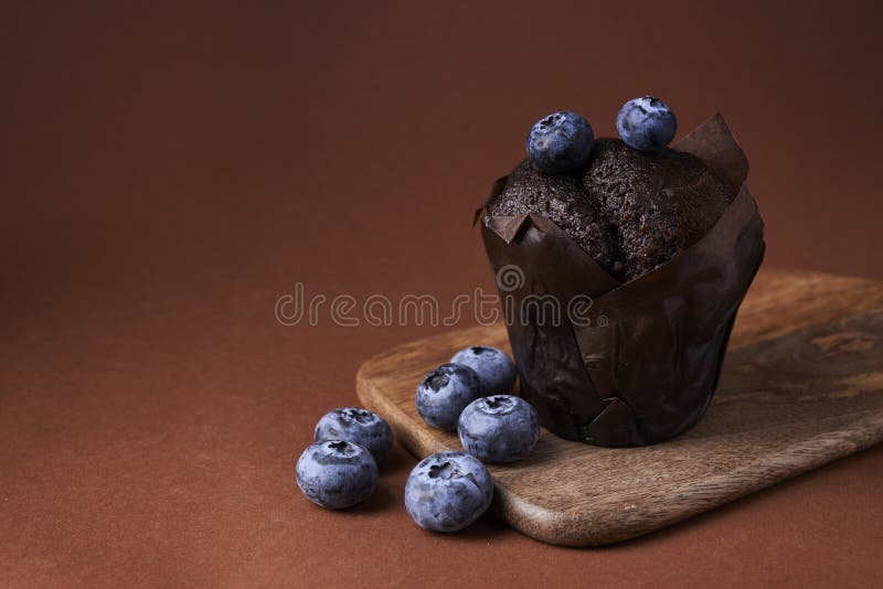 Chocolate muffin with blueberry