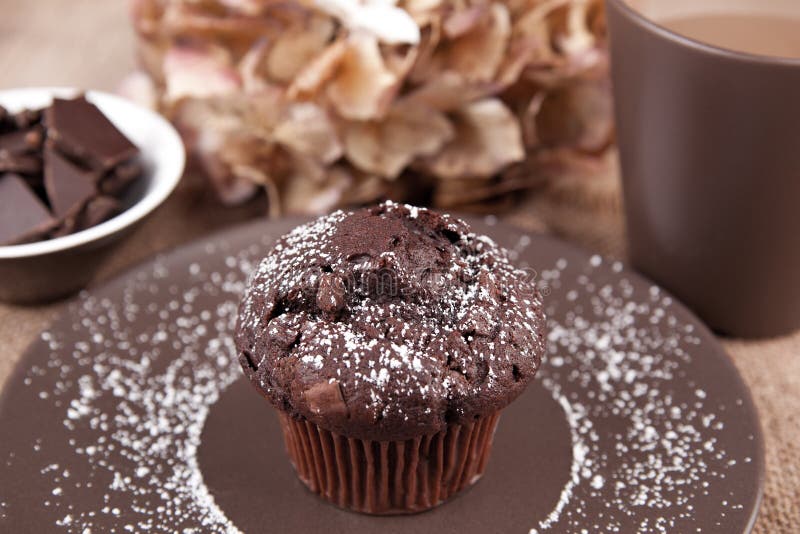 Chocolate Muffin with Cup of Coffee Stock Photo Image of dessert
