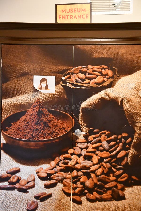 Chocolate Museum and Cafe in Orlando, Florida Editorial Image Image