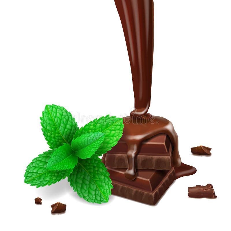 Chocolate Pieces and Mint Leaves, Liquid Cocoa or Chocolate and