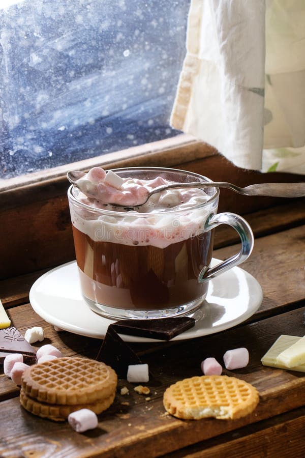 Chocolate Quente Com Marshmallows Imagem de Stock Imagem de branco