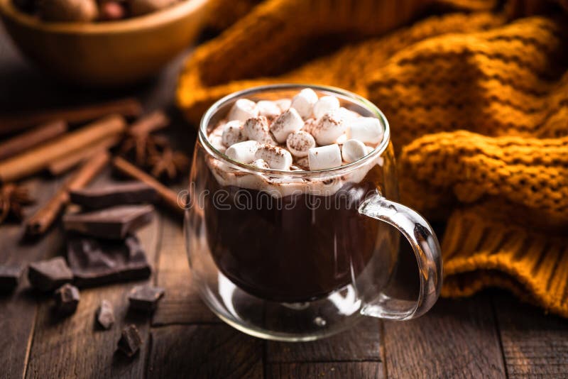 Chocolate quente e marshmallows imagem de stock