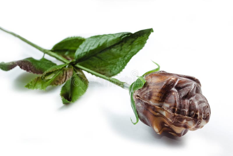 Chocolate rose background stock photo. Image of caffeine 88565220