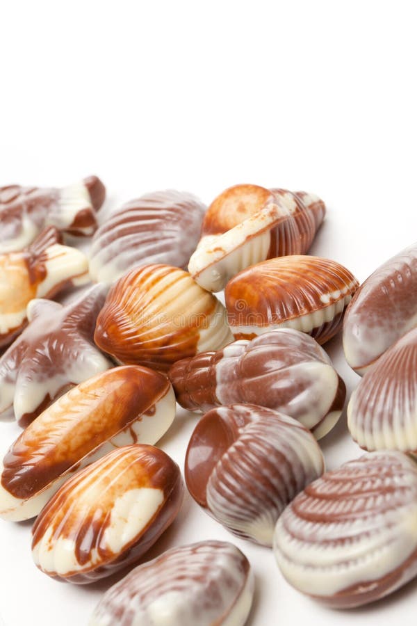 Chocolate seashells stock image. Image of present, confectionery 14477753