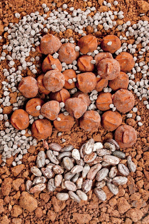 Chocolate truffles and cocoa beans in cocoa royalty free stock photos