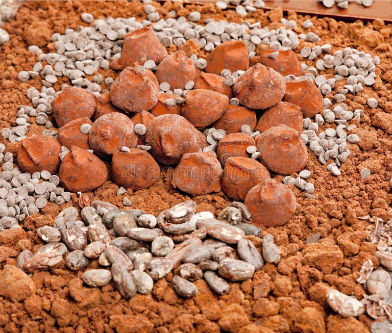 Chocolate truffles and cocoa beans in cocoa royalty free stock photos