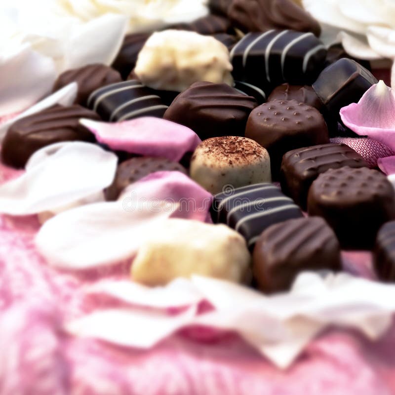 Chocolate Truffles and Rose Petals Stock Photo Image of delight