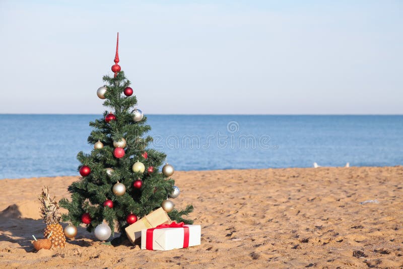 Christmas tree with the gift of tropical resort on the beach 1. Christmas tree with the gift of tropical resort on the beach 1