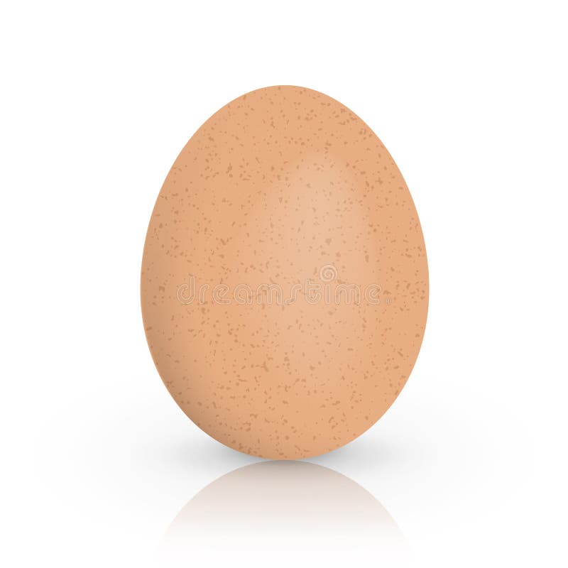 Choisissez l'oeuf brun de poulet d'isolement sur le fond blanc Illustration de vecteur illustration stock Choisissez l'oeuf brun de poulet d'isolement sur le fond blanc Illustration de vecteur illustration stock