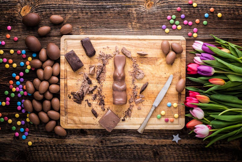 Chokladkanin och rå stycken av choklad royaltyfri fotografi Chokladkanin och rå stycken av choklad royaltyfri fotografi