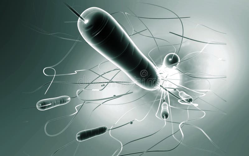 Digital illustration of cholera bacteria in colour background. Digital illustration of cholera bacteria in colour background