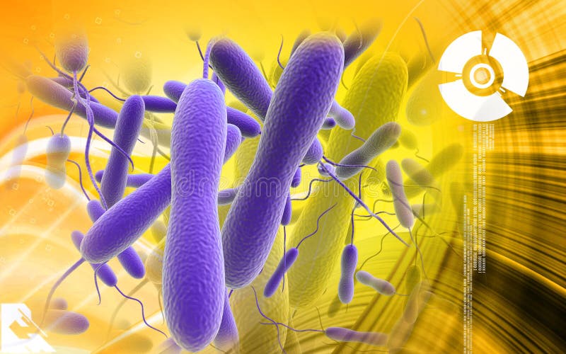 Digital illustration of cholera bacteria in colour background. Digital illustration of cholera bacteria in colour background