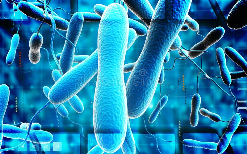 Digital illustration of cholera bacteria in colour background. Digital illustration of cholera bacteria in colour background