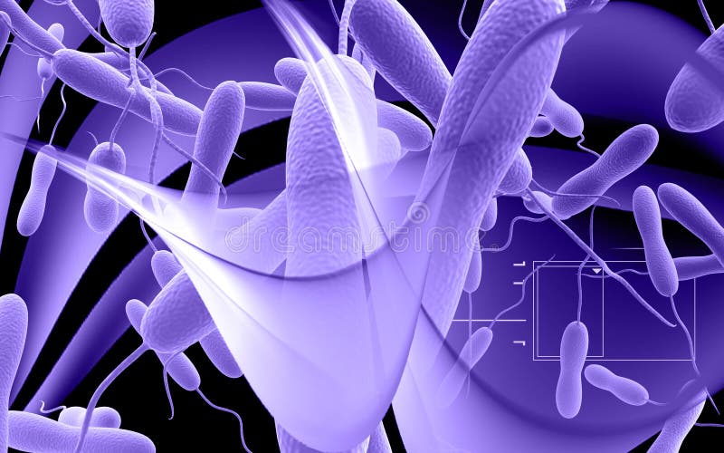 Digital illustration of cholera bacteria in colour background. Digital illustration of cholera bacteria in colour background