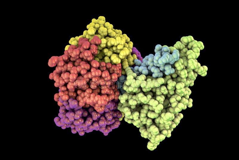 Molecular model of cholera toxin choleragen, 3D illustration. A toxin produced by bacterium Vibrio cholerae that pays crucial role in cholera disease. Molecular model of cholera toxin choleragen, 3D illustration. A toxin produced by bacterium Vibrio cholerae that pays crucial role in cholera disease