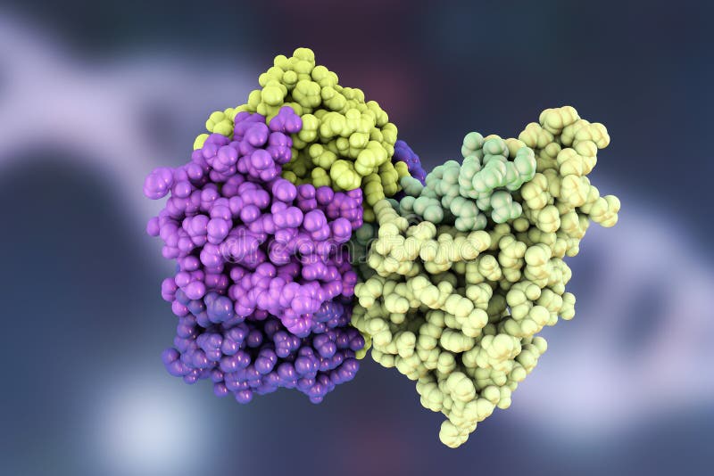 Molecular model of cholera toxin choleragen, 3D illustration. A toxin produced by bacterium Vibrio cholerae that pays crucial role in cholera disease. Molecular model of cholera toxin choleragen, 3D illustration. A toxin produced by bacterium Vibrio cholerae that pays crucial role in cholera disease