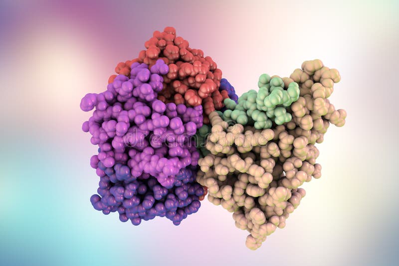 Molecular model of cholera toxin choleragen, 3D illustration. A toxin produced by bacterium Vibrio cholerae that pays crucial role in cholera disease. Molecular model of cholera toxin choleragen, 3D illustration. A toxin produced by bacterium Vibrio cholerae that pays crucial role in cholera disease