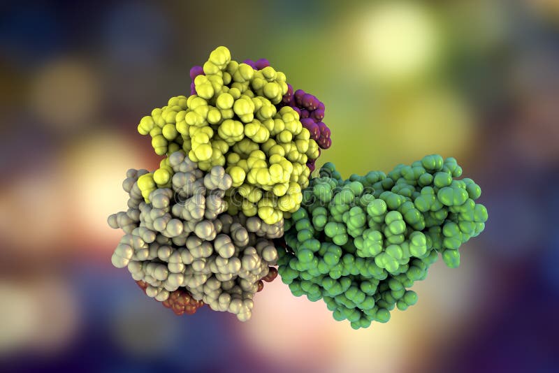 Molecular model of cholera toxin choleragen, 3D illustration. A toxin produced by bacterium Vibrio cholerae that pays crucial role in cholera disease. Molecular model of cholera toxin choleragen, 3D illustration. A toxin produced by bacterium Vibrio cholerae that pays crucial role in cholera disease