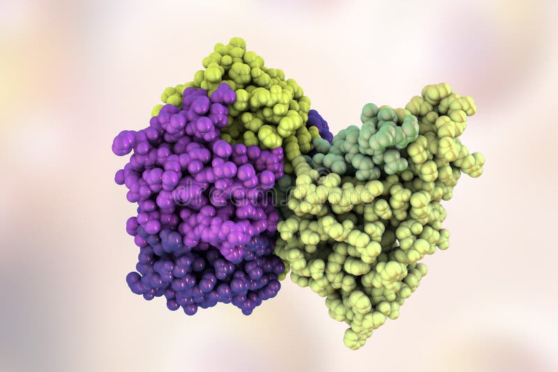 Molecular model of cholera toxin choleragen, 3D illustration. A toxin produced by bacterium Vibrio cholerae that pays crucial role in cholera disease. Molecular model of cholera toxin choleragen, 3D illustration. A toxin produced by bacterium Vibrio cholerae that pays crucial role in cholera disease