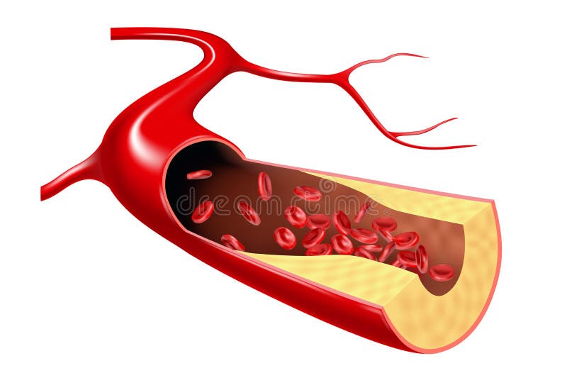 Cholesterol and erythrocyte flow in the vein. 3d vector illustration