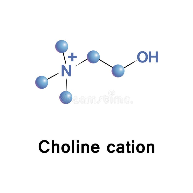 Choline Chloride Stock Illustrations 7 Choline Chloride Stock