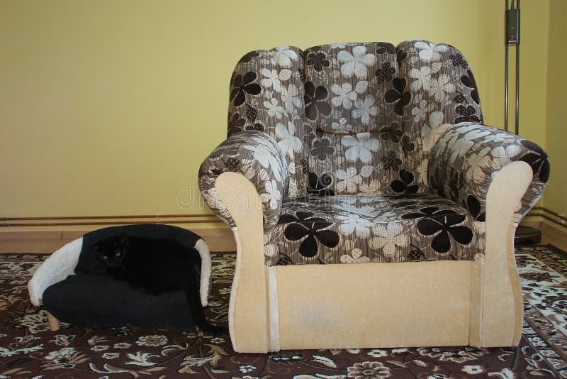 Chomutov, Tsjechische republiek - 30 December, 2018: één stoel voor mens en één stoel voor kat in woonkamer stock foto Chomutov, Tsjechische republiek - 30 December, 2018: één stoel voor mens en één stoel voor kat in woonkamer stock foto