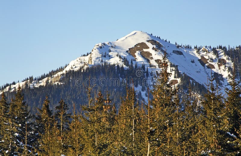 Chopok mountain in Low Tatras in Jasna. Slovakia