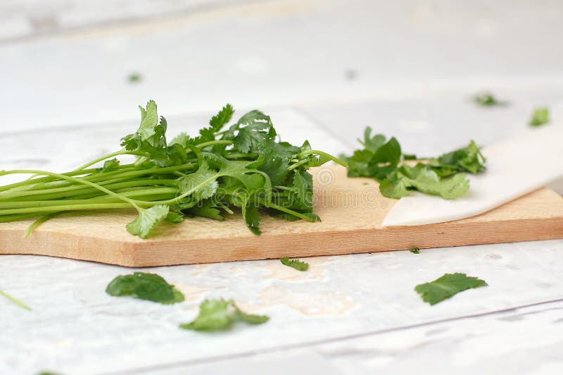 Chopped Coriander on the Wood Stock Photo Image of food, meal 69504388