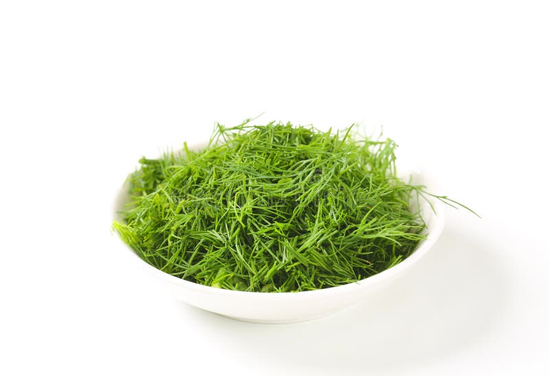 Fresh dill weed stock photo. Image of dill, studio, weed 56644900