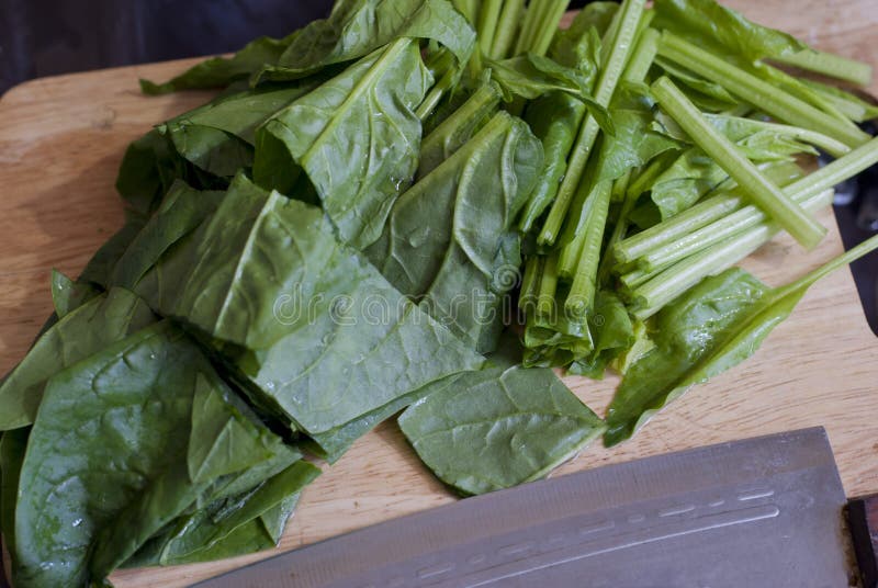 Chopped Fresh Spinach stock image. Image of cook, nutrition - 59695879