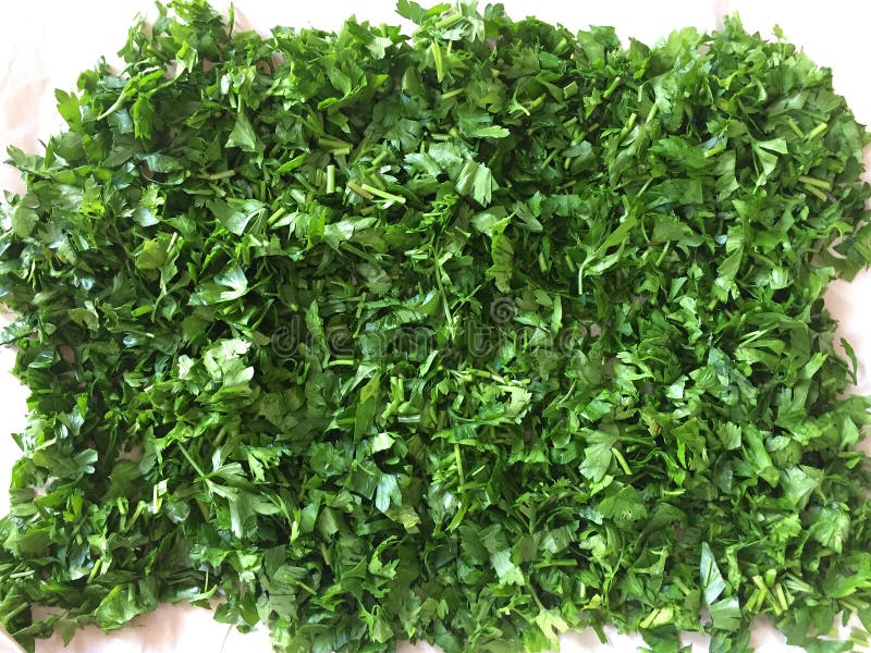 Chopped parsley stock image. Image of eating, garnish 148237317