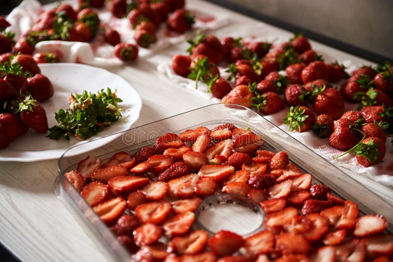 https://thumbs.dreamstime.com/b/chopped-pieces-strawberries-prepared-drying-lying-white-table-kitchen-fruit-dryer-machine-process-making-delicious-188035304.jpg