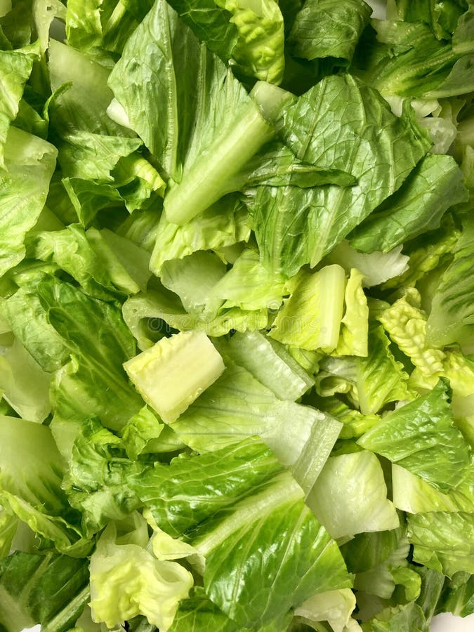 Chopped romaine lettuce stock photo. Image of food, eating 134222710