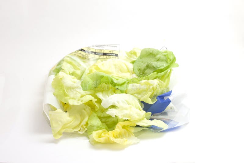 165 Packaged Lettuce Stock Photos Free & RoyaltyFree Stock Photos