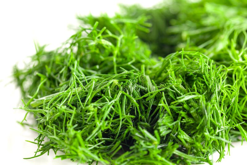 Chopped into Small Pieces Dill Isolated on White Background, Fresh Dill Stock Photo Image of