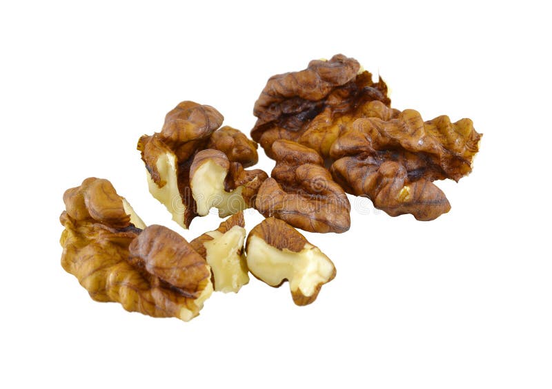 Chopped walnut with shell stock photo. Image of white 137711860