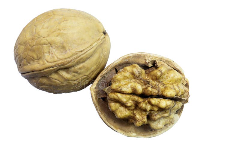Chopped Walnut And Whole Walnut Stock Image Image of nature, closeup 140890473