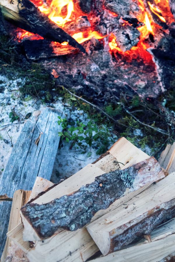Chopped wood and a bonfire in the winter forest royalty free stock photos