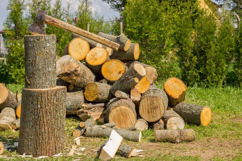 After Ten Years Of Chopping Firewood Chopping firewood stock image. Image of woodwork, timber - 31080337