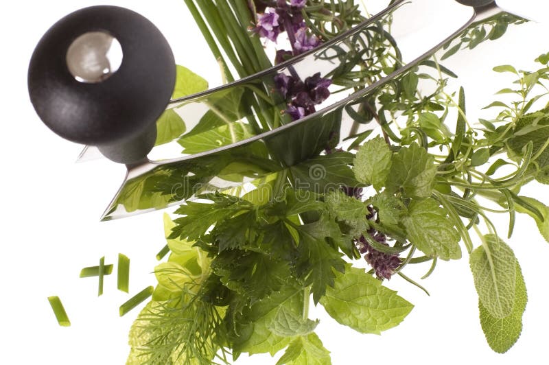 Chopping Fresh Herbs. Picture Image 2601375