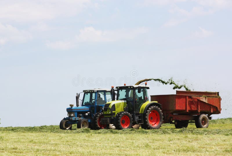 Chopping and harvesting silage royalty free stock photography