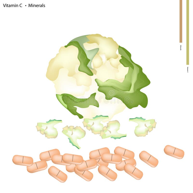 Chou-fleur blanc avec la vitamine C et les minerais illustration stock Chou-fleur blanc avec la vitamine C et les minerais illustration stock