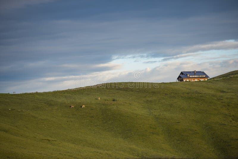 Choza en un borde con las vacas en los prados, salida del sol, Giau P de la montaña foto de archivo libre de regalías Choza en un borde con las vacas en los prados, salida del sol, Giau P de la montaña foto de archivo libre de regalías
