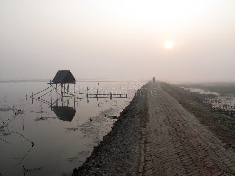 Choza modesta de la paja de pescadores indios en el Ganges, Sunderband, la India