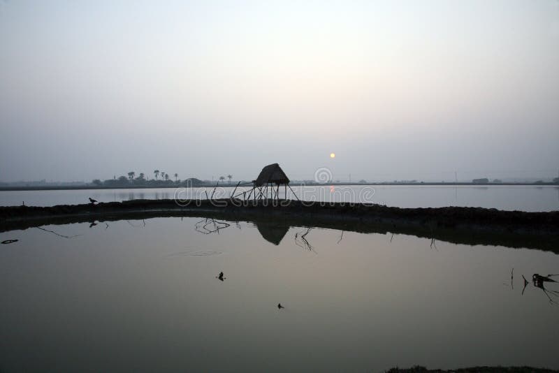 Choza modesta de la paja de pescadores indios en el Ganges, Sunderband, la India