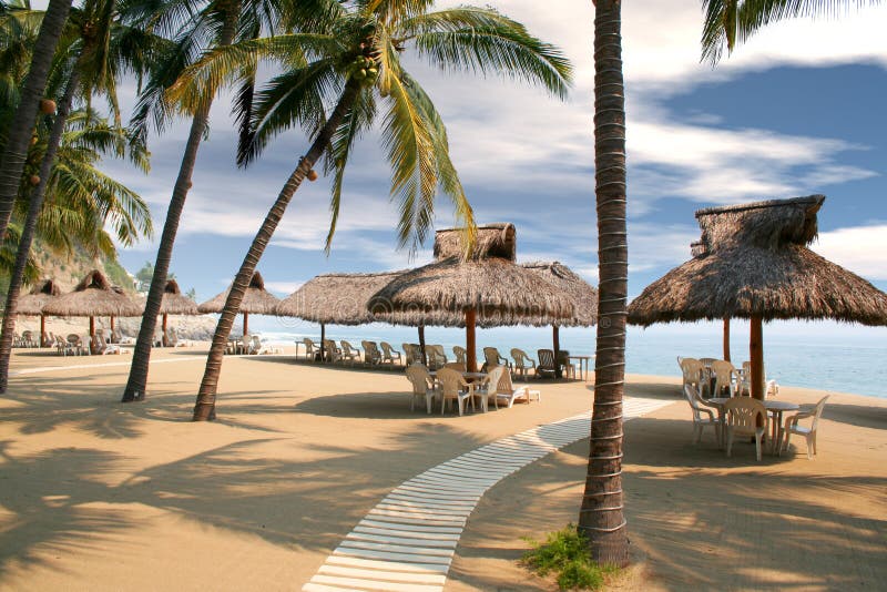 Tropical beach huts lined up under palm trees. Tropical beach huts lined up under palm trees