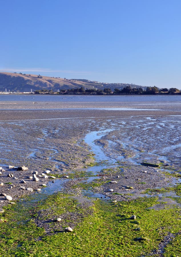 Christchurch Estuary & Bird Sanctuary Panorama