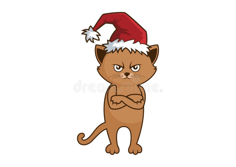 angry christmas cat