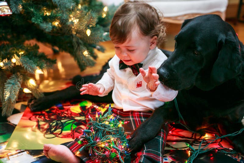 Christmas Baby and Dog stock image